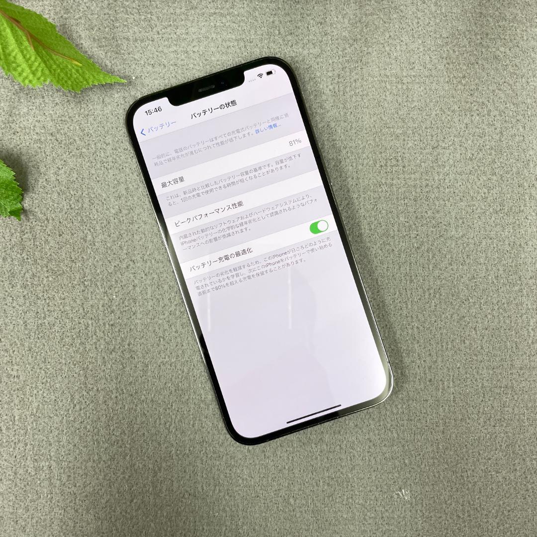 iPhone12 Pro Max 256Gb グラファイト 国内SIMフリー