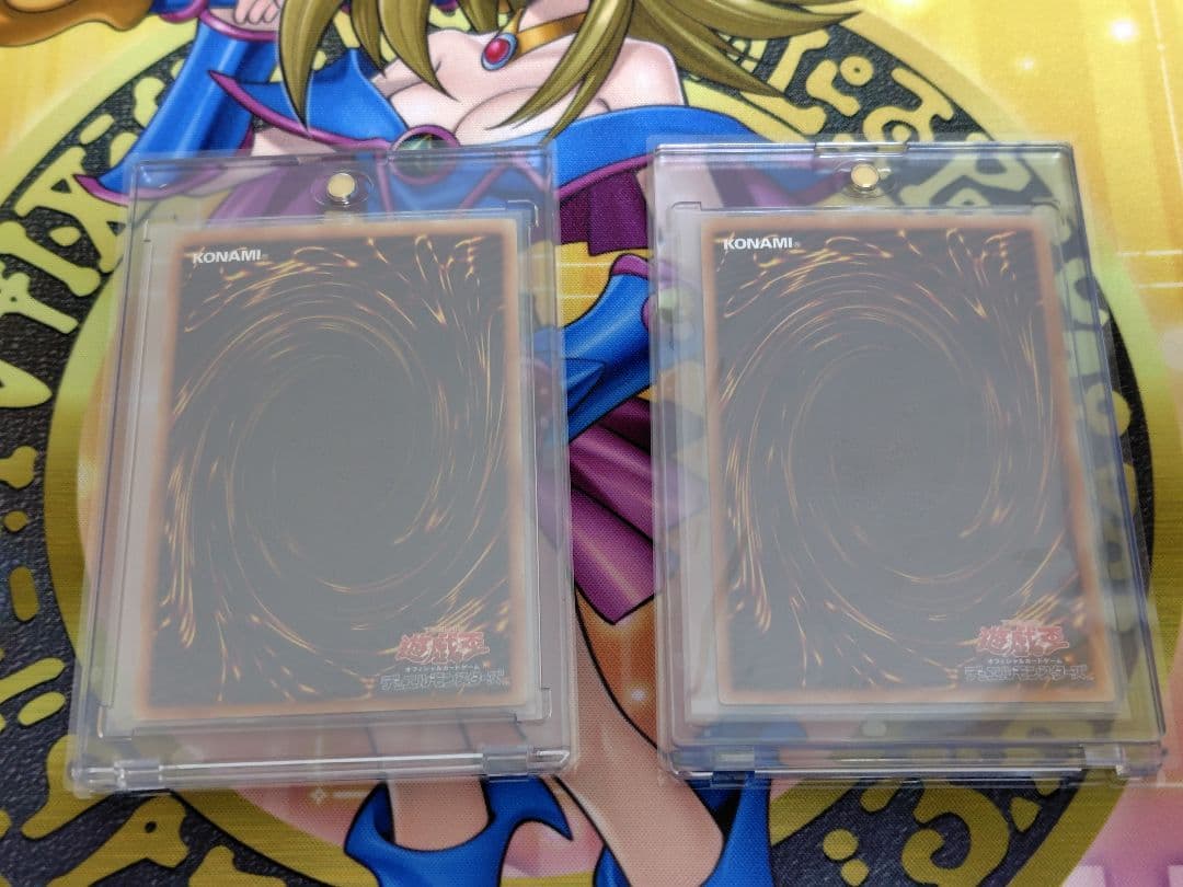 恵*丸様 ブルーアイズオルタナティブホワイトドラゴン・レドアイズ ホロ 各１枚