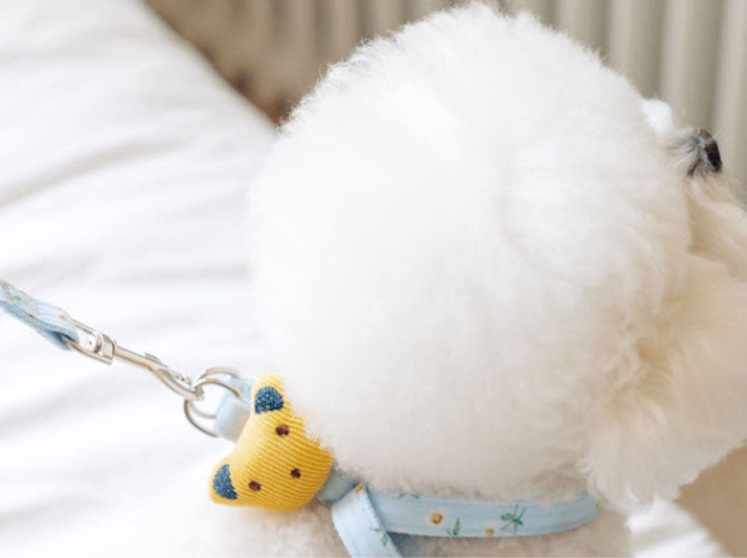 ☆新品☆ 犬用 くまちゃん付き ハーネスセット 花柄 ライトブルー