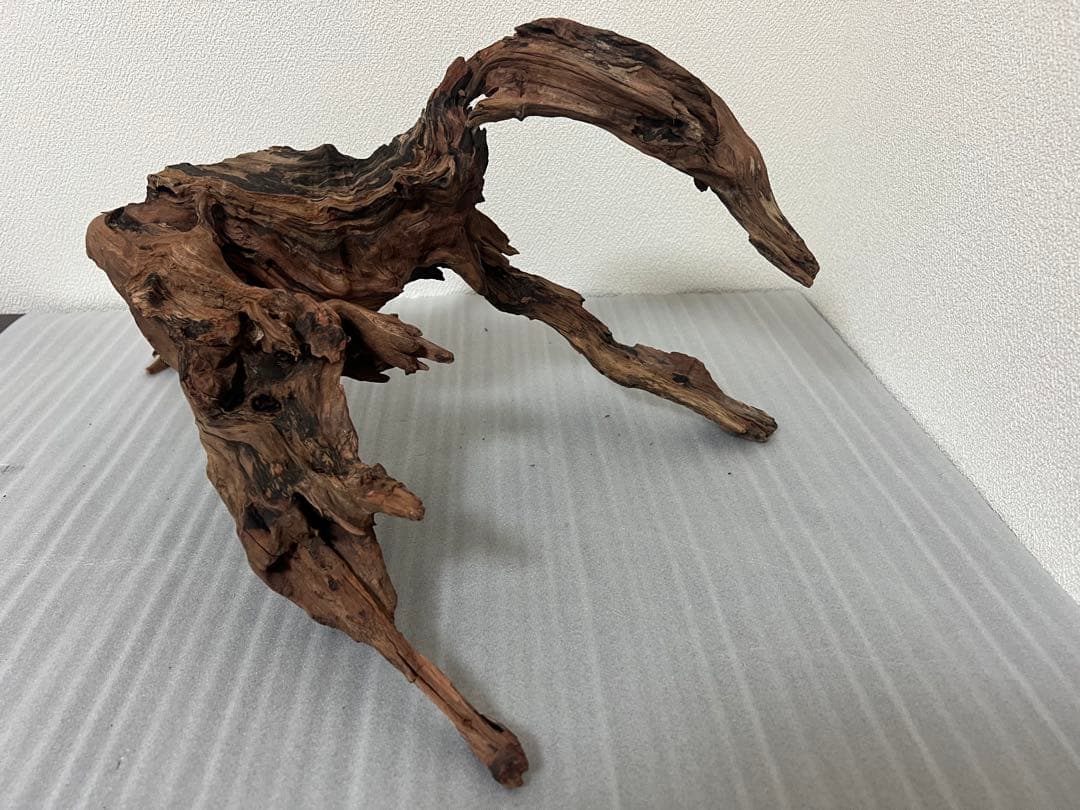 HX-079 流木　ホーンウッド　マシンガンウッド　アクアリウム　ブランチウッド