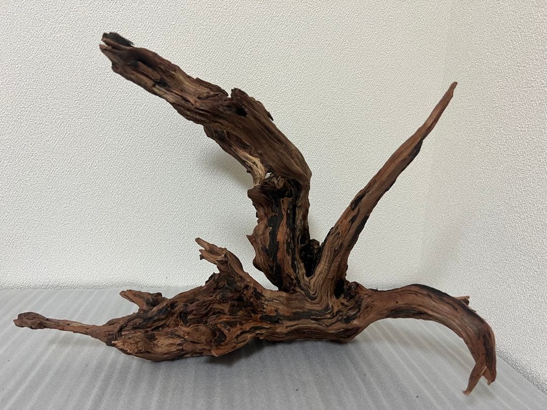 HX-079 流木　ホーンウッド　マシンガンウッド　アクアリウム　ブランチウッド