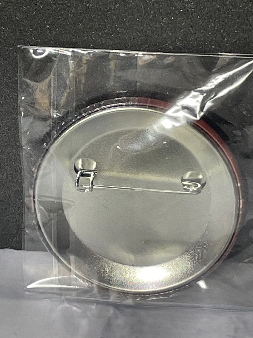 ✨❣️❣️初音ミクシンフォニー2019缶バッジ KAITO❣️❣️✨