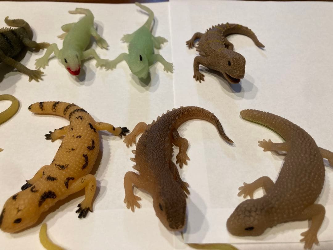 ディアゴスティーニ イグアナ&coコンプリート22体