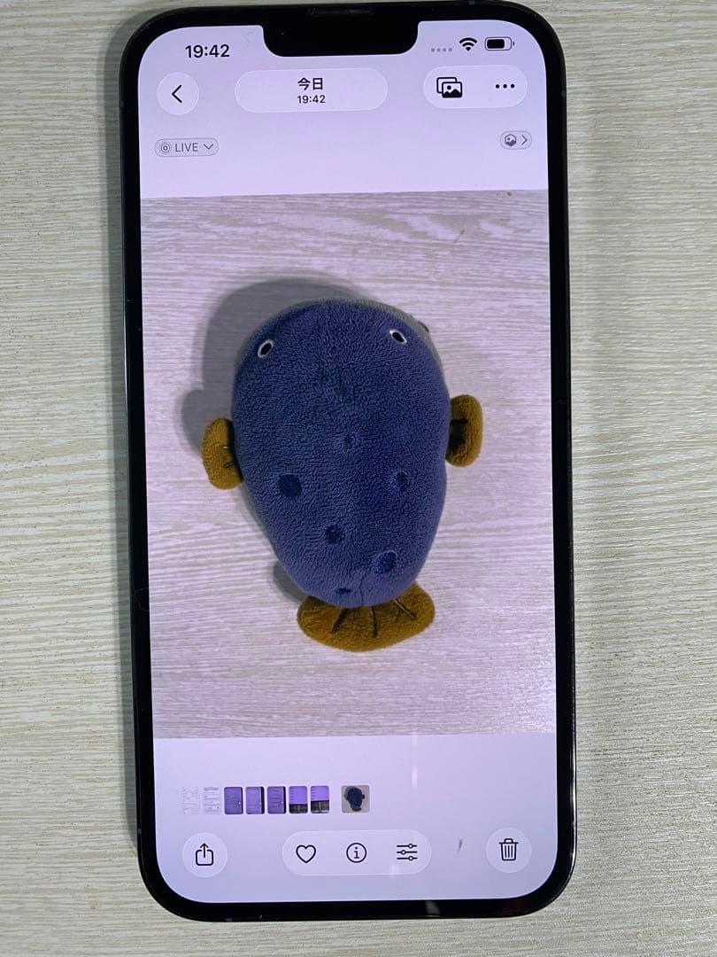 Apple iPhone 13 Pro Max シエラブルー 本体