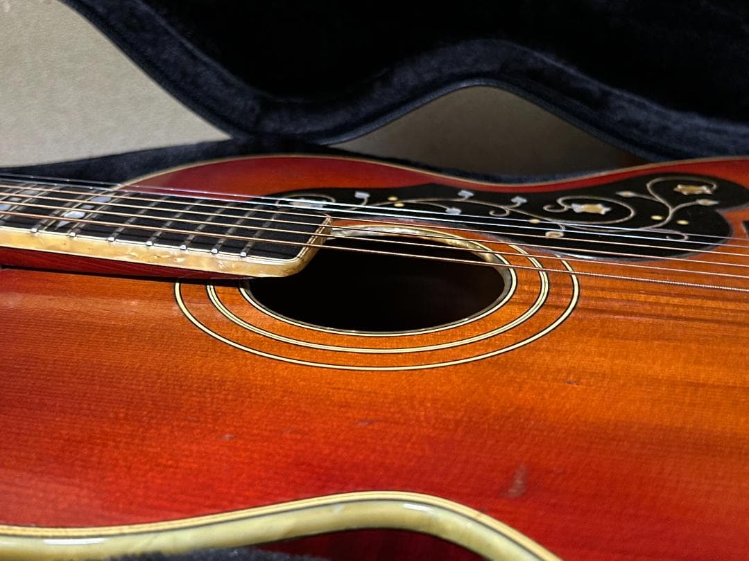 激レア 希少 カールヘフナー　496　アコギ ヴィンテージ