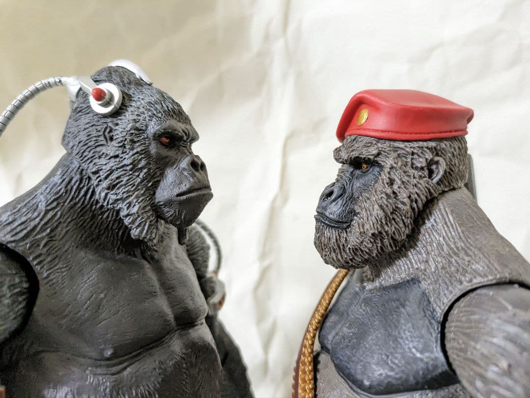 DCユニバース「ゴリラ・グロッド&ムッシュ・マラー」