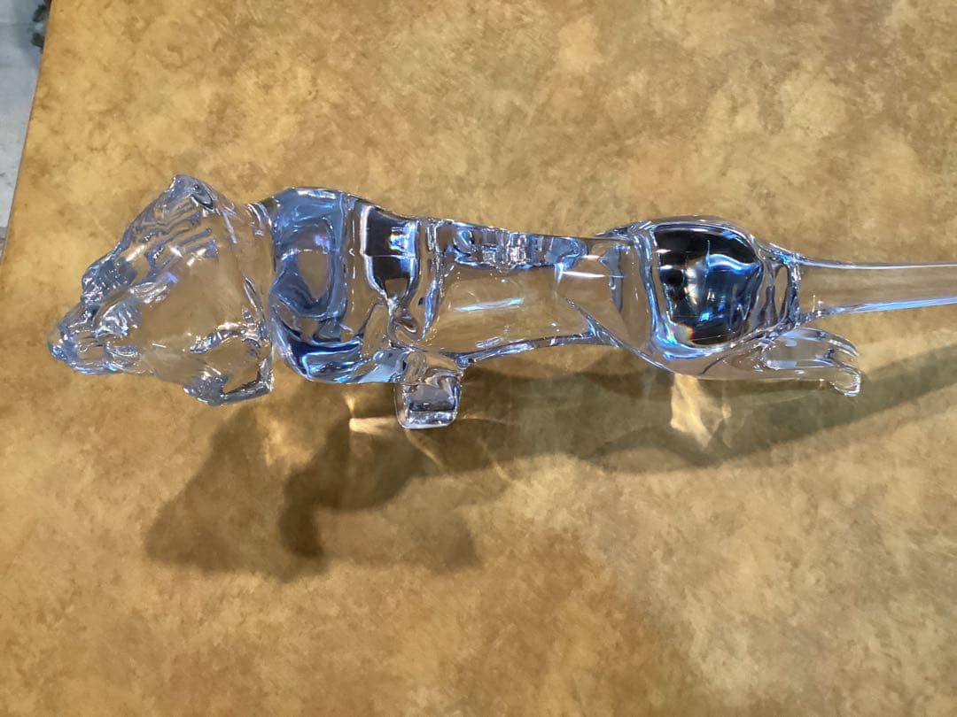 ドーム　クリスタル　ライオン