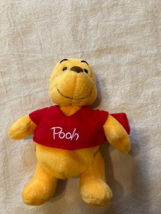 ぬいぐるみ　プーさん　TDL ディズニー公式　小銭入れ　バッグチャーム　綺麗目