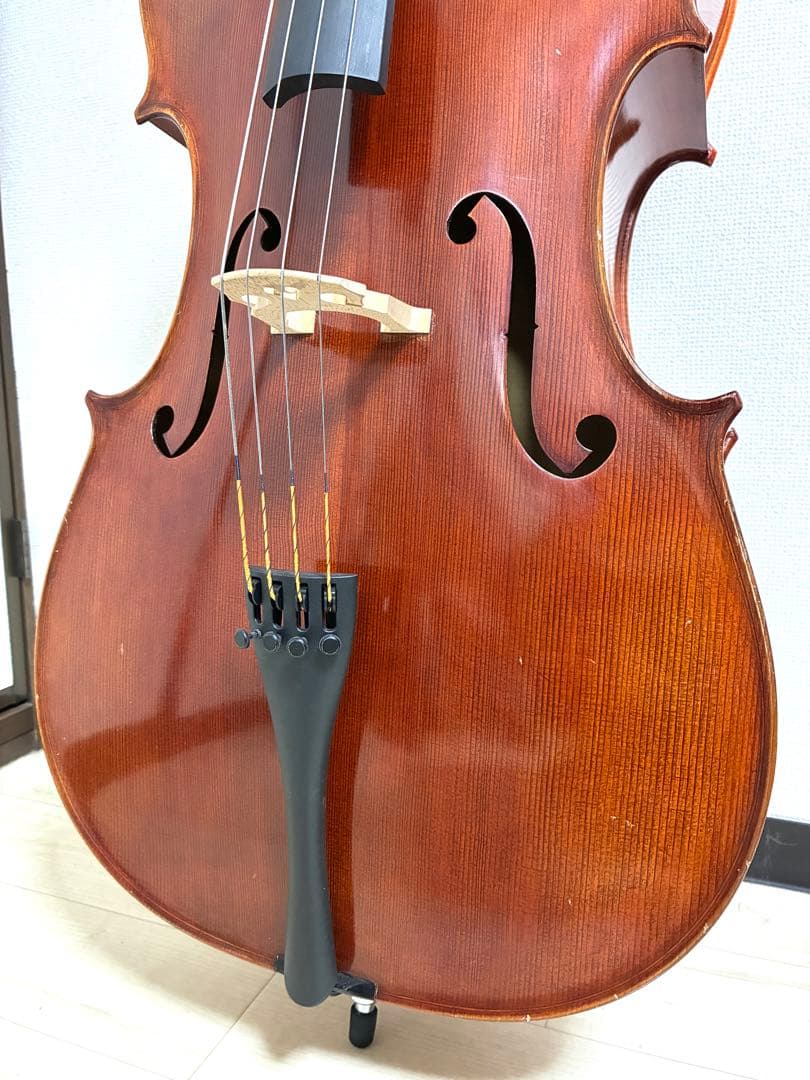 Ewald Sommer Nr.2 チェロ2006年製 Eastman