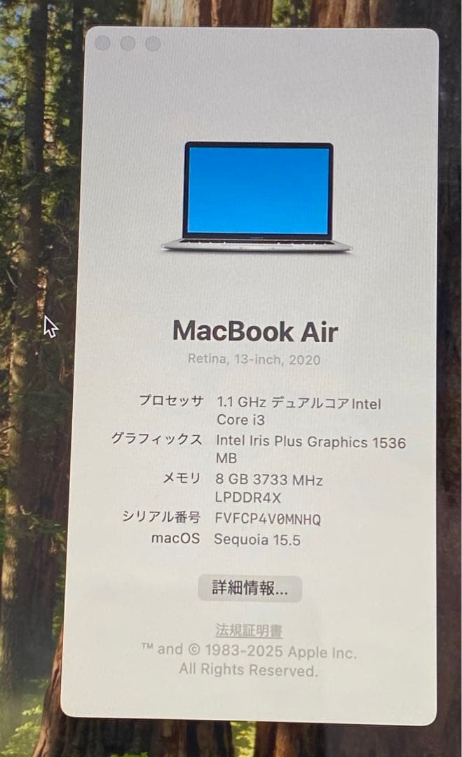 MacBook本体 pelare