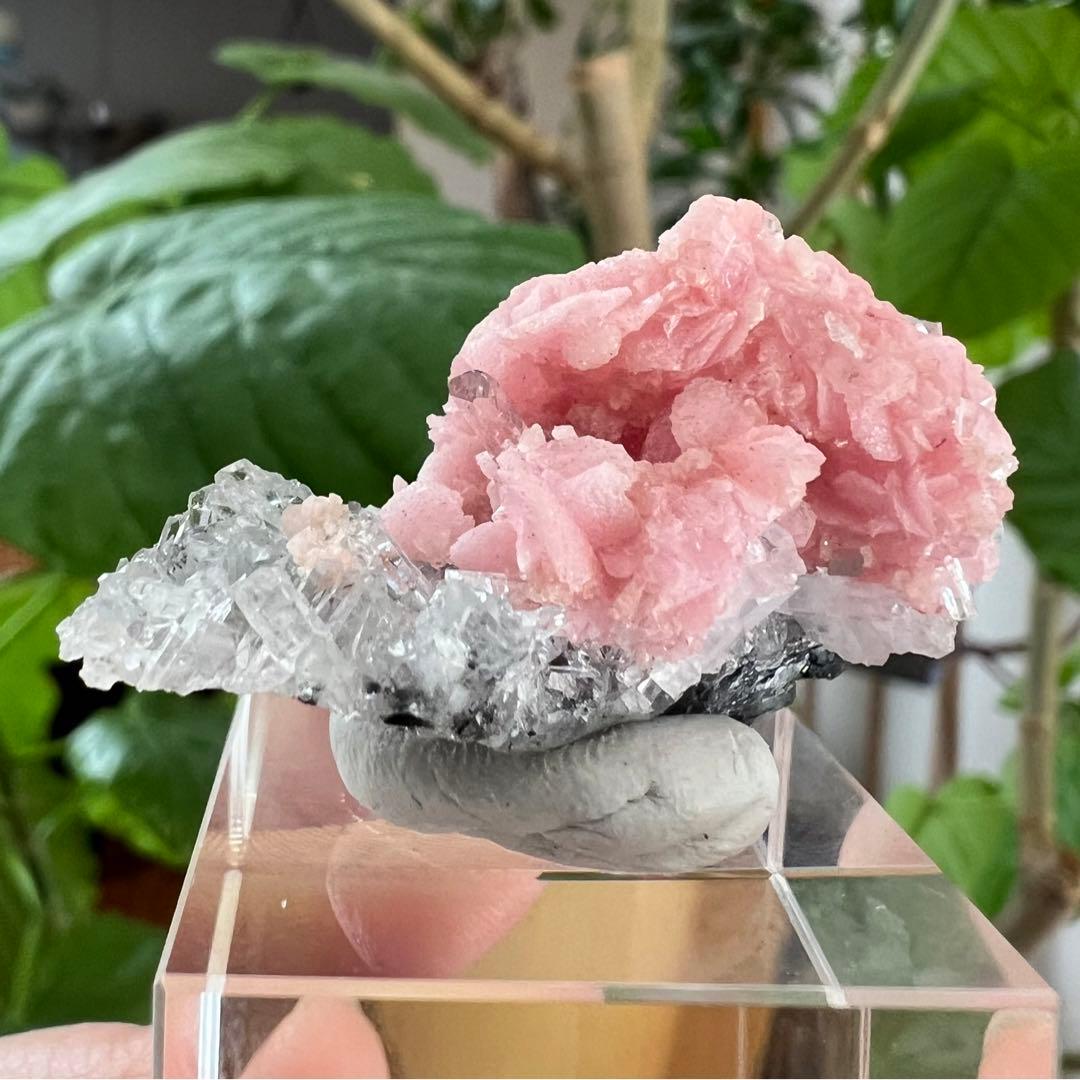 中国　広西チワン族自治区産　クォーツクラスター共生ロードクロサイト