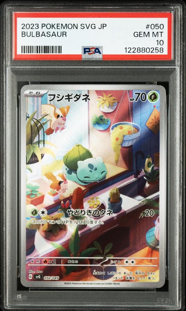 PSA10 3連番 御三家 フシギダネ ヒトカゲ ゼニガメ AR　③