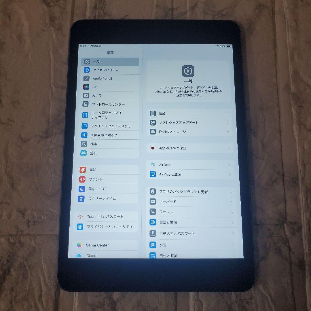 103 iPad mini 5世代 64GB Wi-Fi スペースグレイ