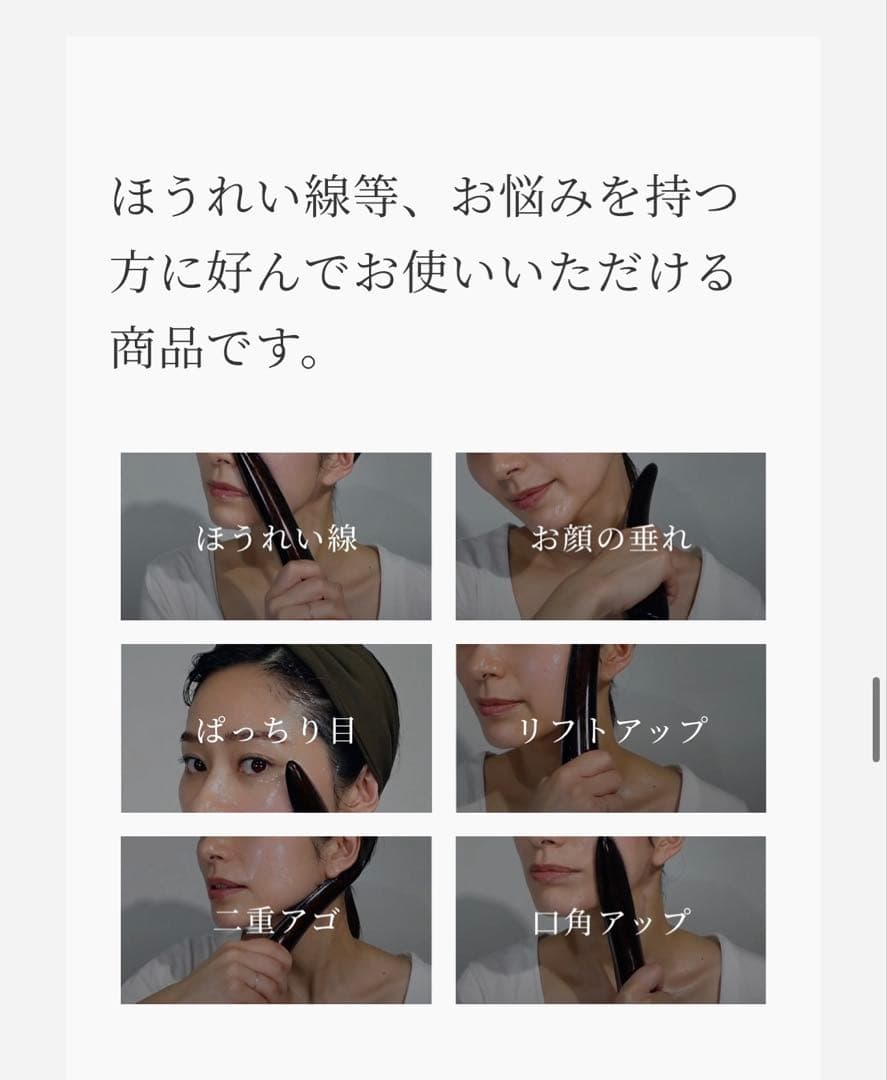 【正規品・未開封・未使用】PYR KNIGHT パイラナイト