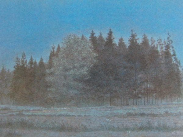 吉原慎介、【静かな森】、希少な額装用画集より、新品額装付、状態良好