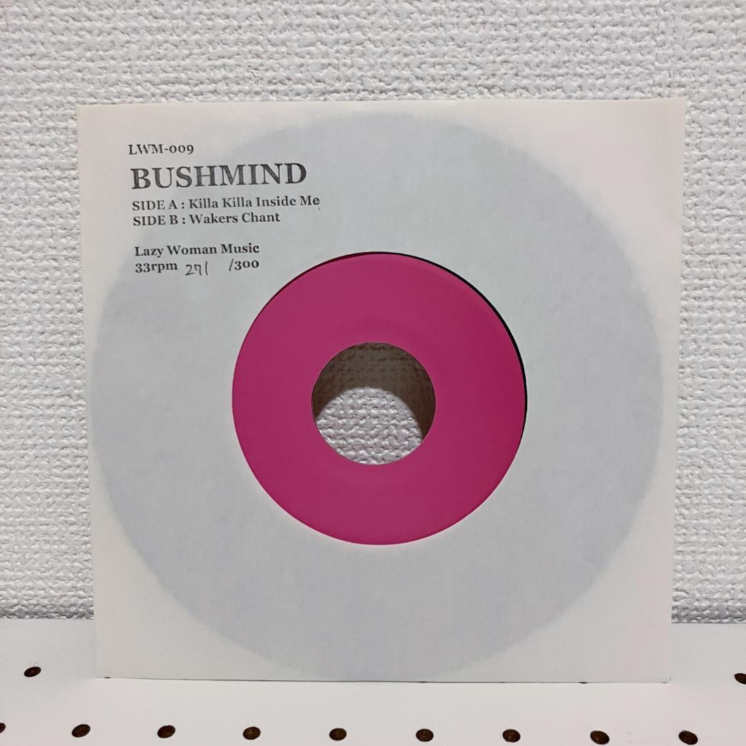 Lazy Woman 7インチ 16枚セット EVISBEATS PUNPEE