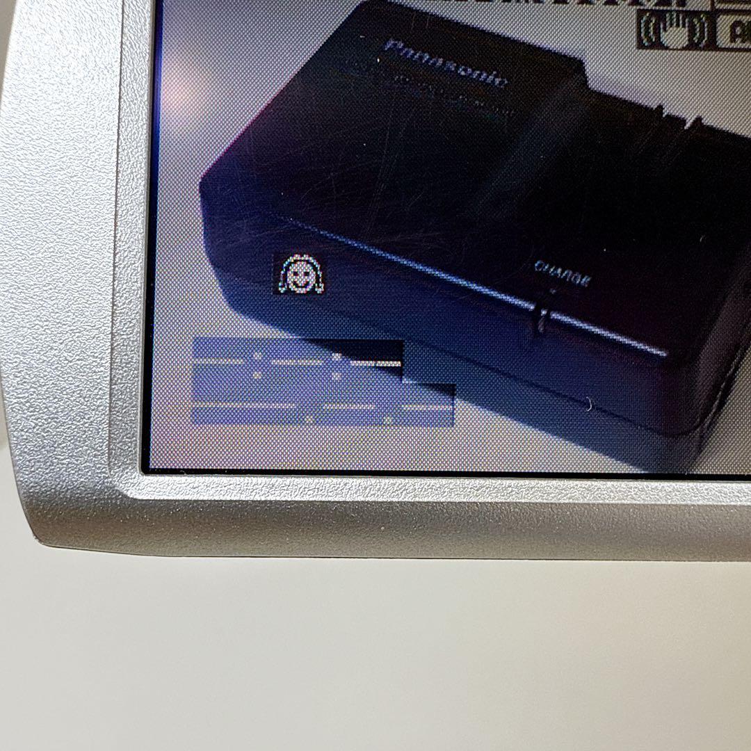 動作品　Mini DV　パナソニックビデオカメラ　NV-GS250　大人気