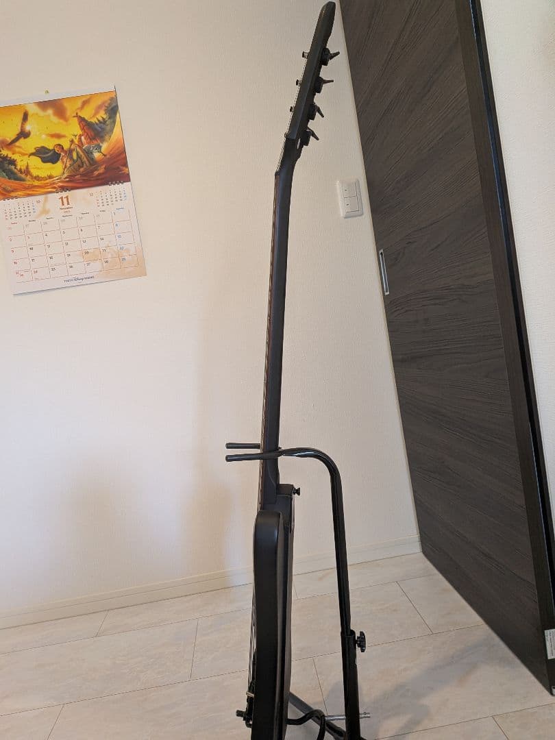 Epiphone ブラックバード　ニッキーシックス　サンダーバード