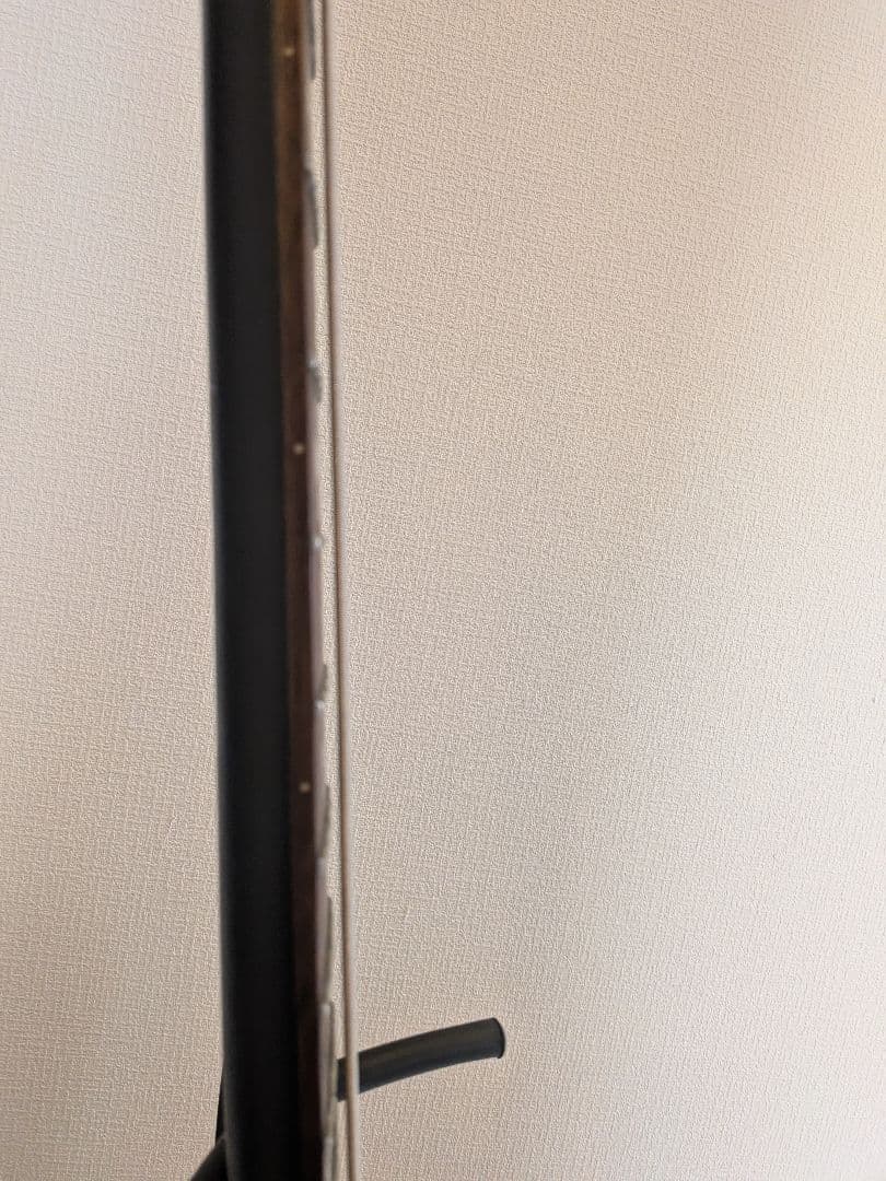 Epiphone ブラックバード　ニッキーシックス　サンダーバード