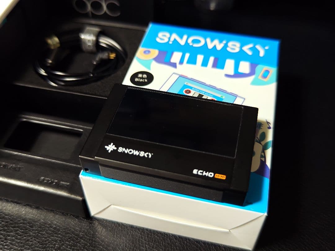 FiiO SKY ECHO MINI ＋ qdc SUPERIORセット