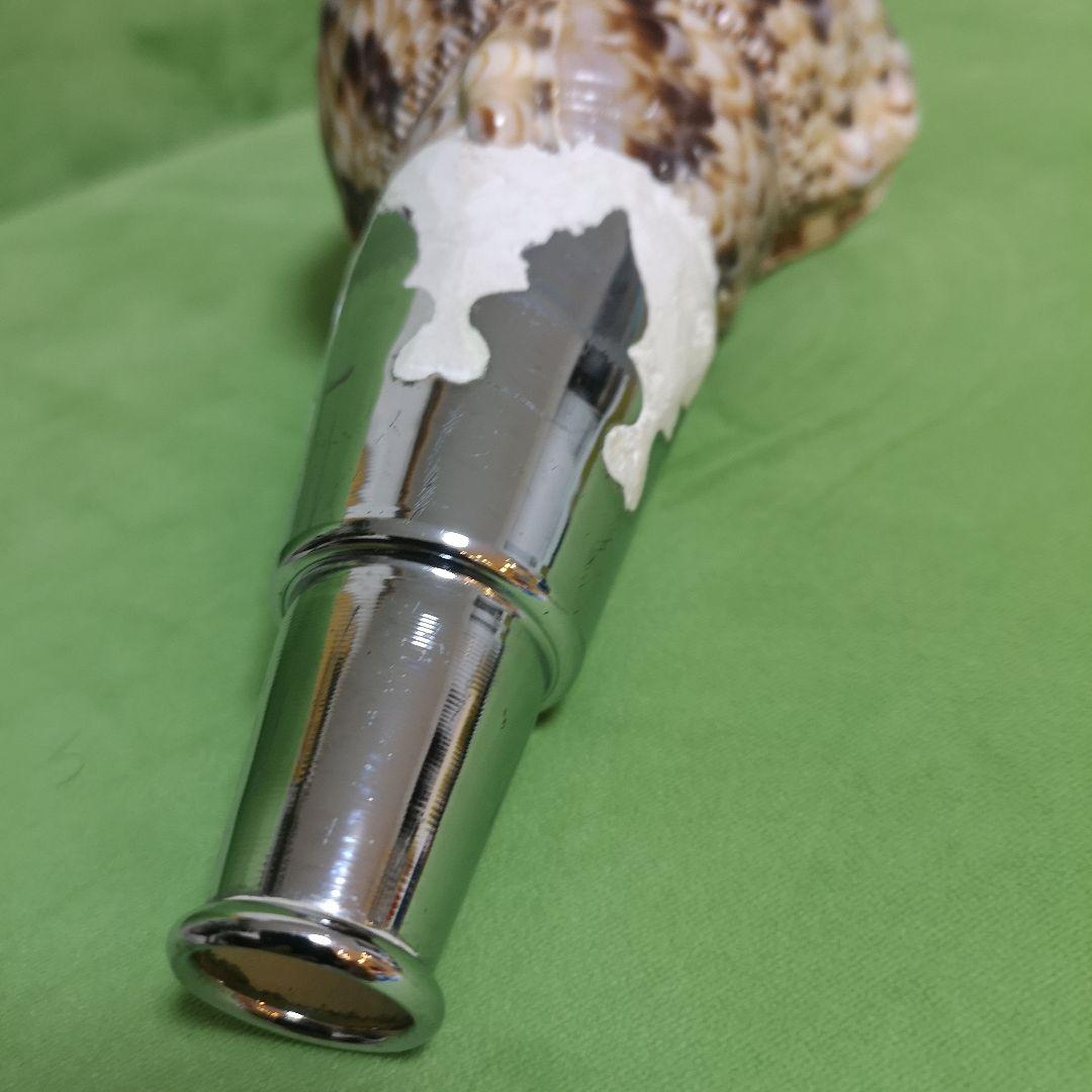 法螺貝　ホラ貝　クリスマス　プレゼント