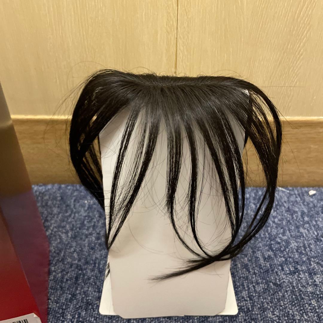 PESCA (ペスカ) ヘアメイト チャチャ(ソフトブラック, ロング)