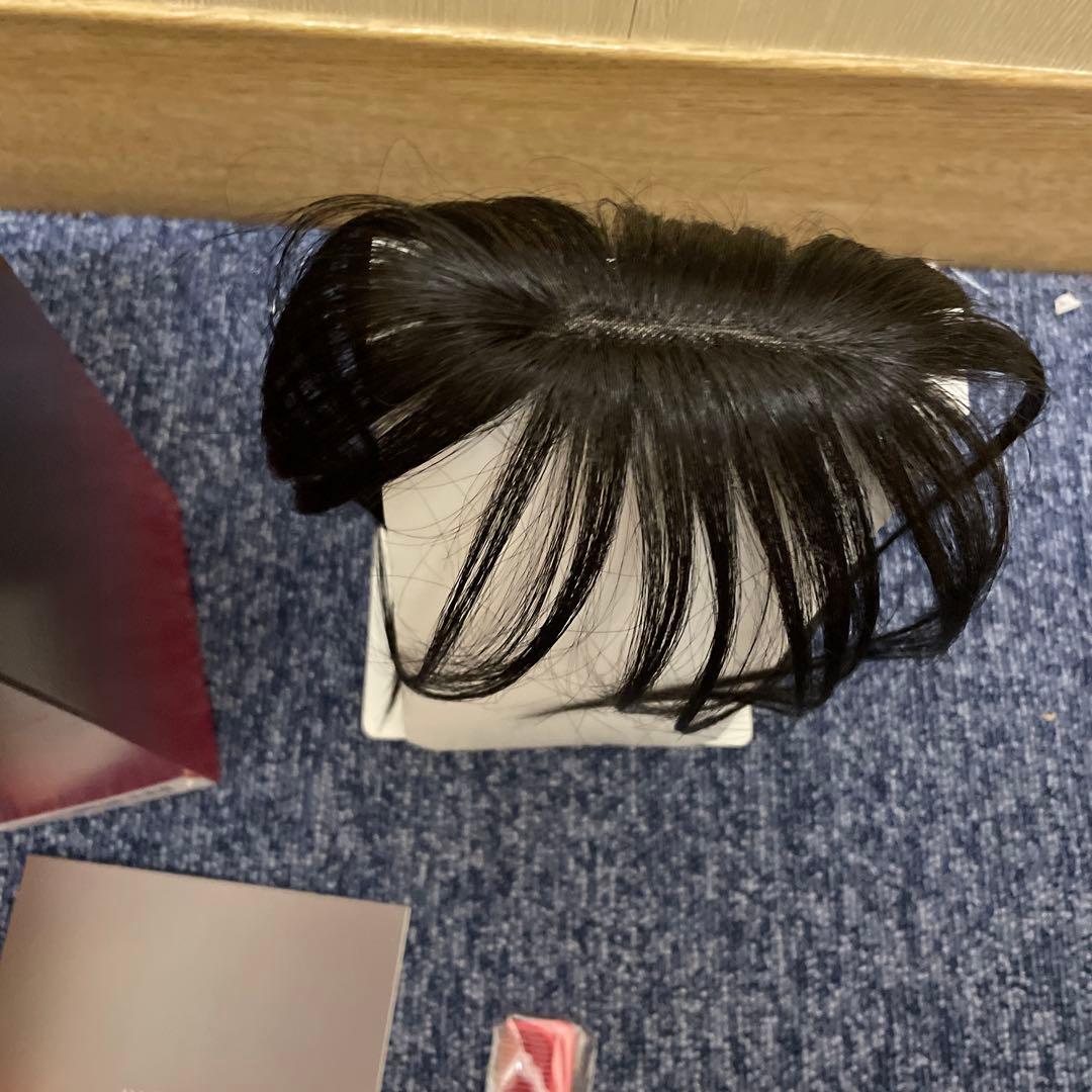 PESCA (ペスカ) ヘアメイト チャチャ(ソフトブラック, ロング)