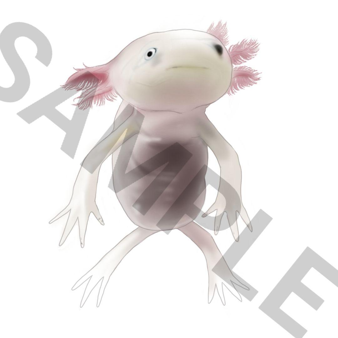 [ほり。]爬虫類ステッカー