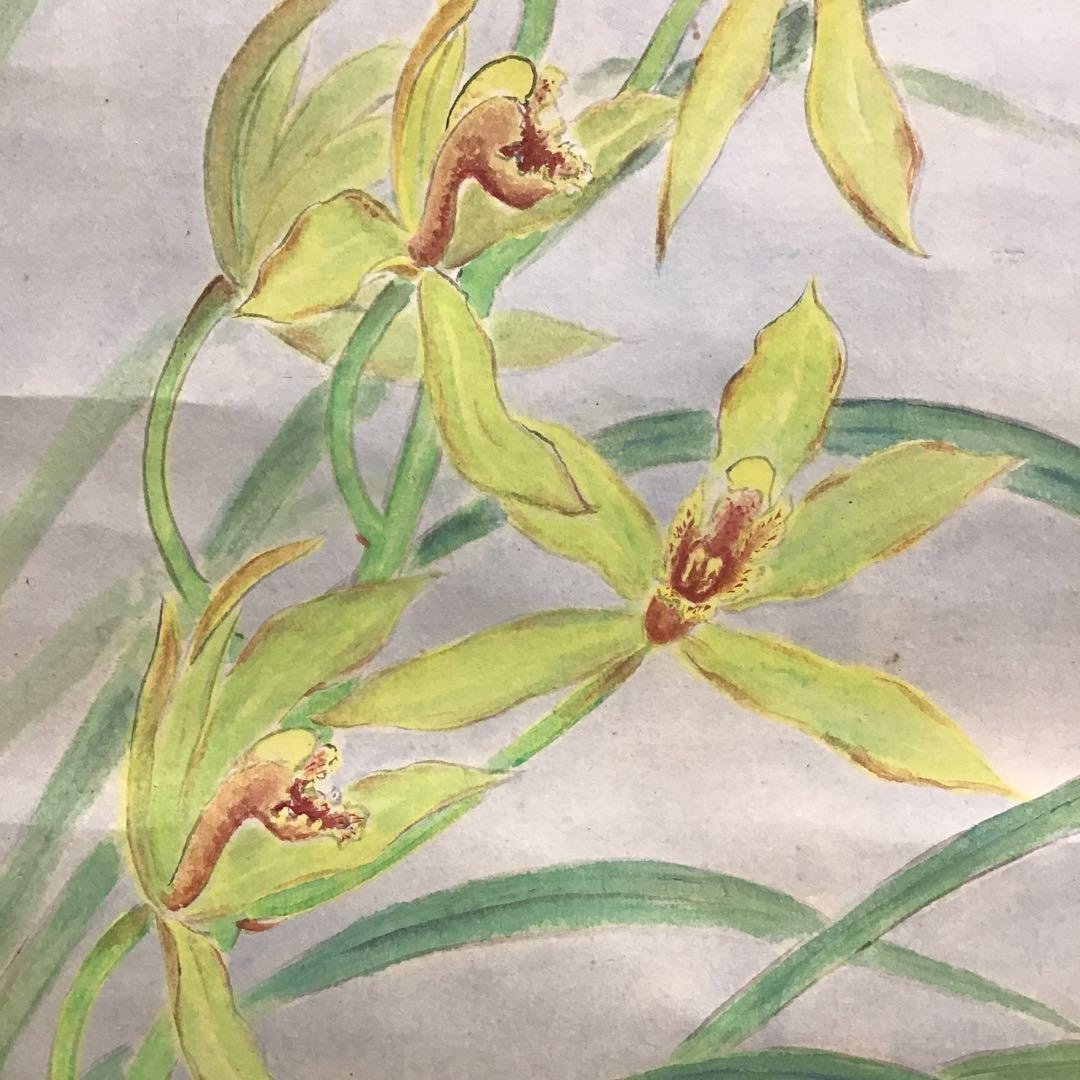 K茶道具　掛軸　「洋蘭の図」　古楊作　共箱　S1007KJ