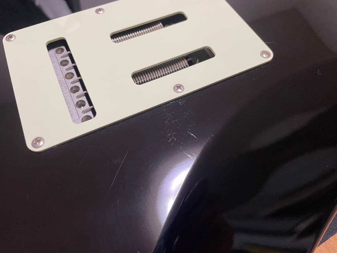 fujigen（FGN） SNST101-BK 【限定生産品】