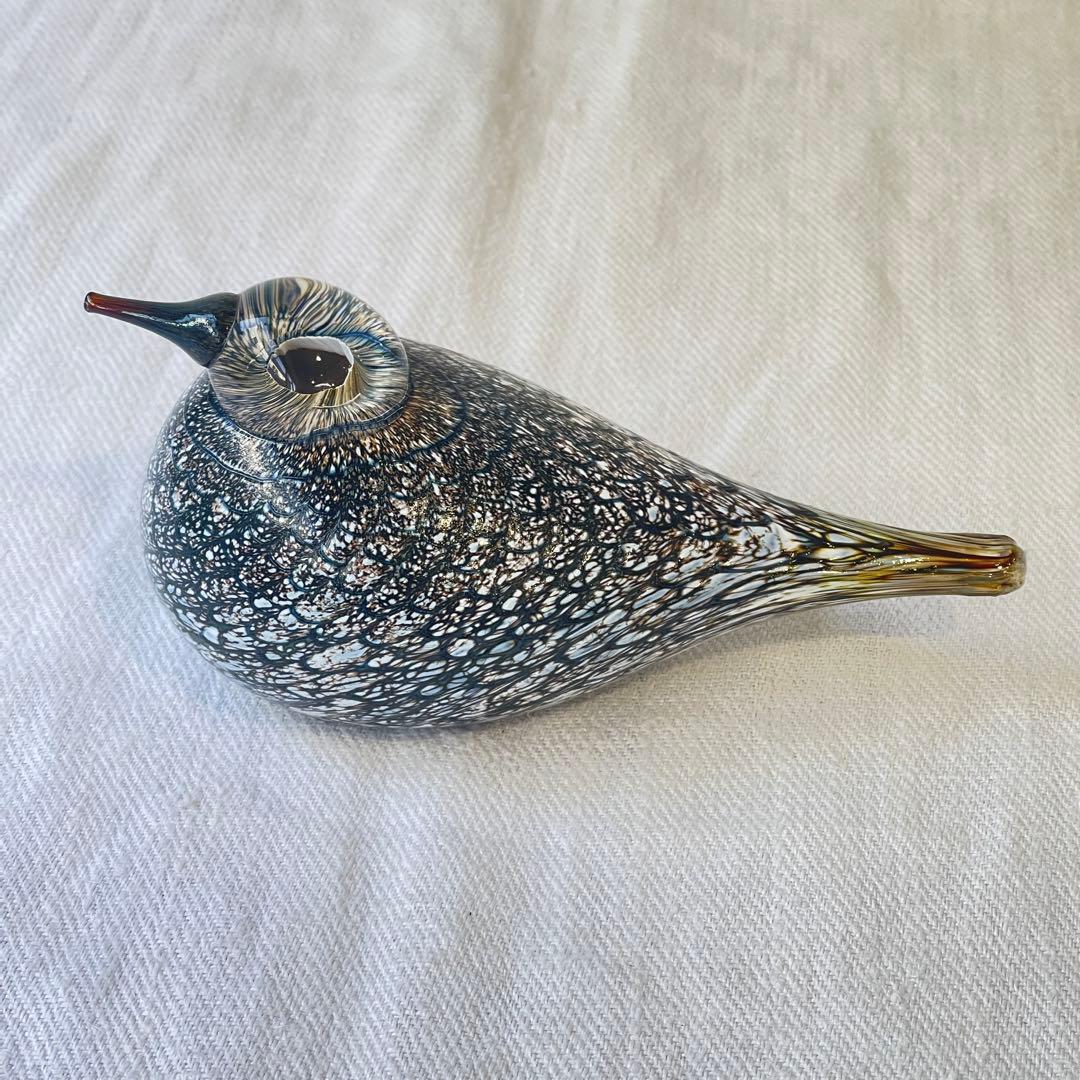 希少入手困難品　 オイバトイッカ イッタラバード コモンクイナ