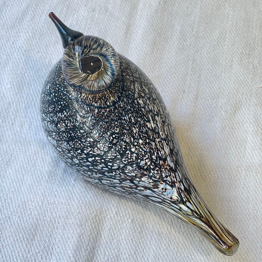 希少入手困難品　 オイバトイッカ イッタラバード コモンクイナ