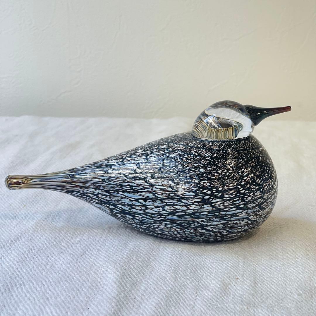 希少入手困難品　 オイバトイッカ イッタラバード コモンクイナ