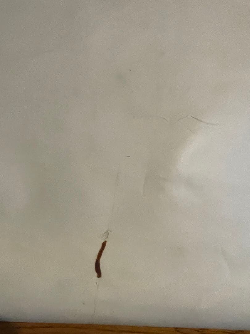 【超希少】伝説映画B1ポスター『バッファロー’66』 ヴィンセント・ギャロ