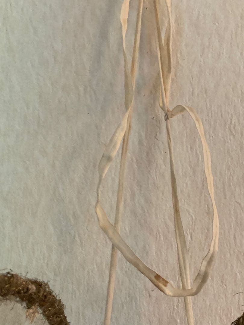 フランスアンティーク　レースの羽 チュールレース オブジェ