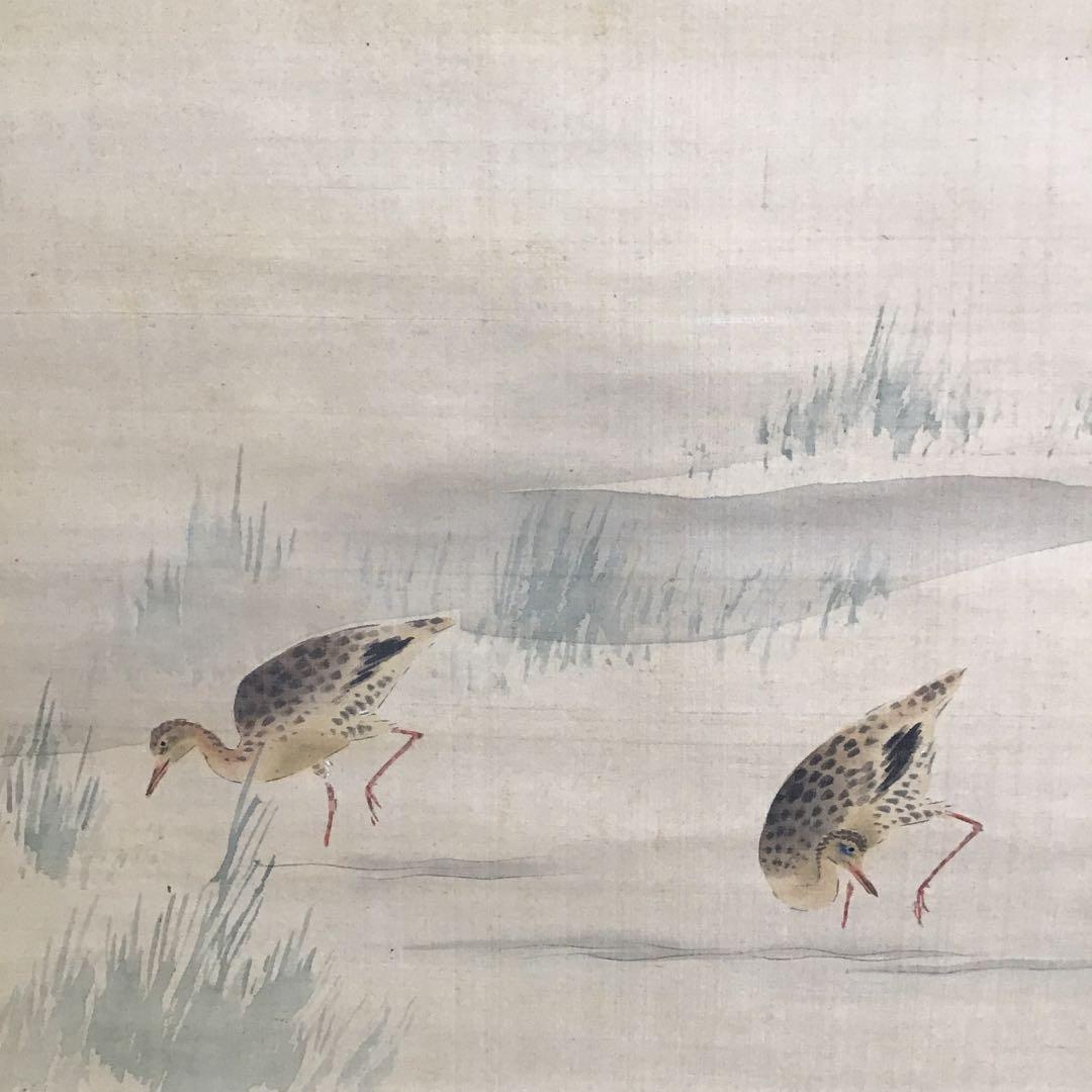 掛軸　水鶏(くいな) 渡辺清作　鑑定箱書付　共箱　紙箱　S936KJ