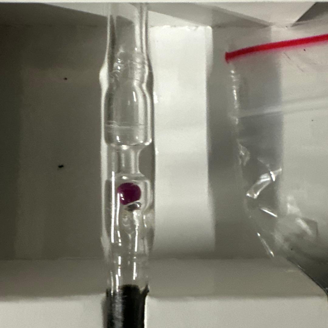 水質管理 CABOCHON RUBY ADA