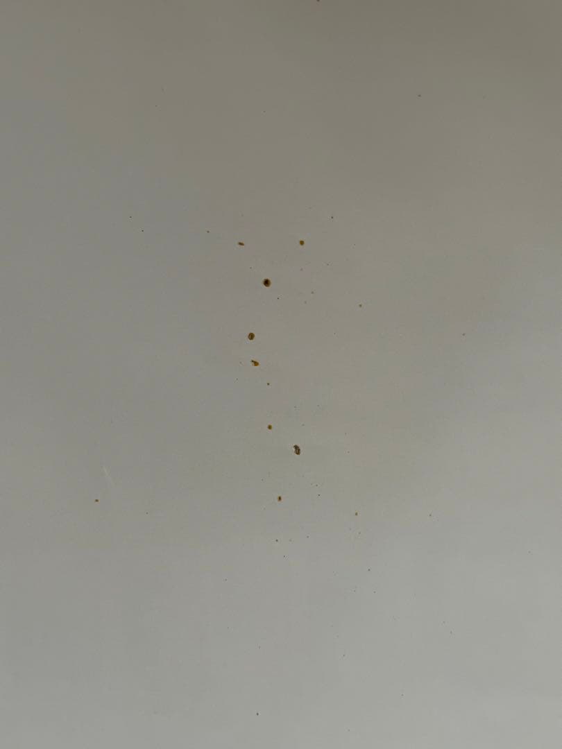 目撃　USオリジナル映画ポスター