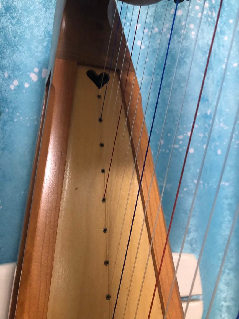 はなちゃん　Stoney End Eve イヴ　ハープ アイリッシュハープ