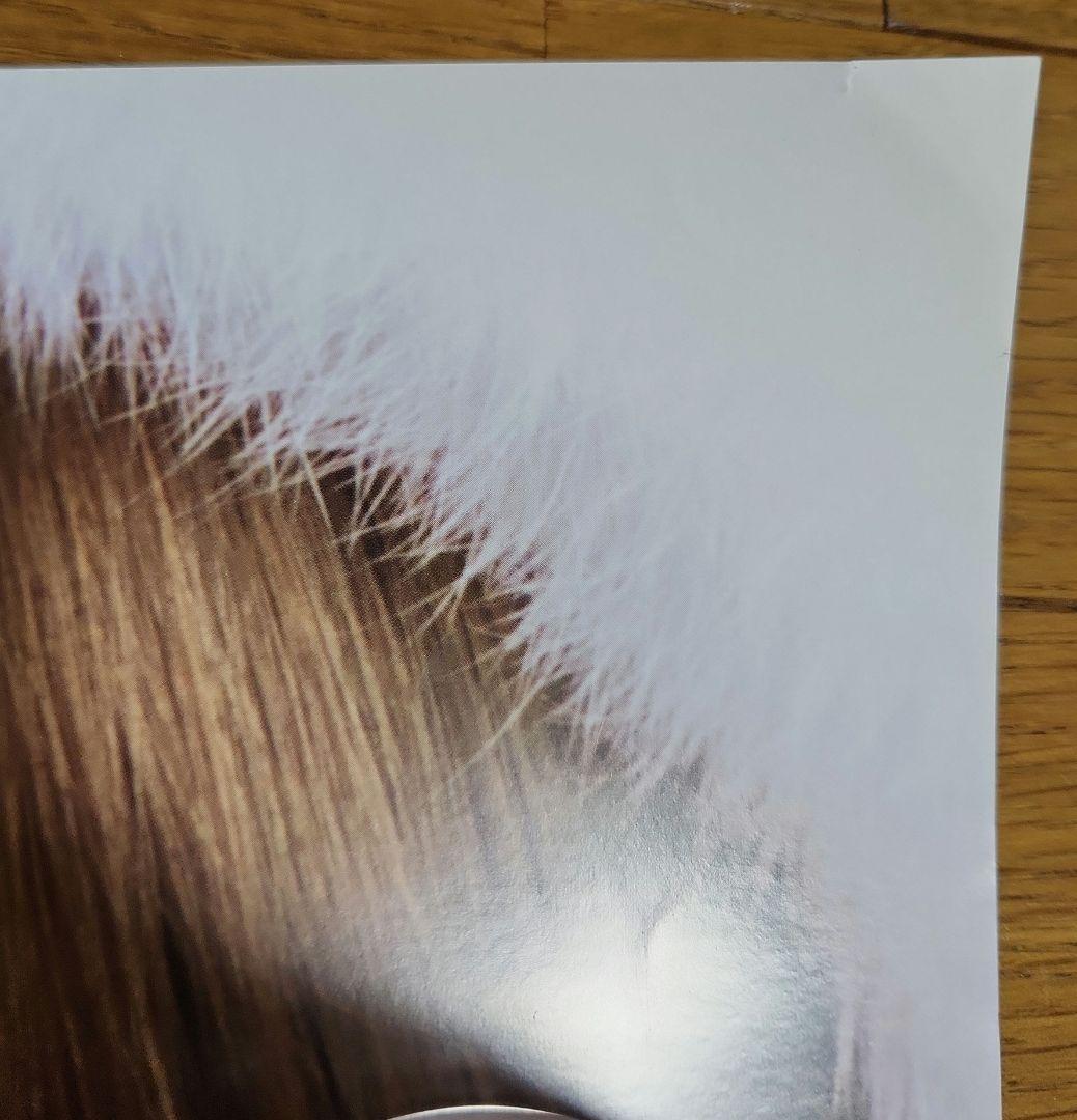 浜崎あゆみ No way to say 告知ポスター2003　未使用　レア