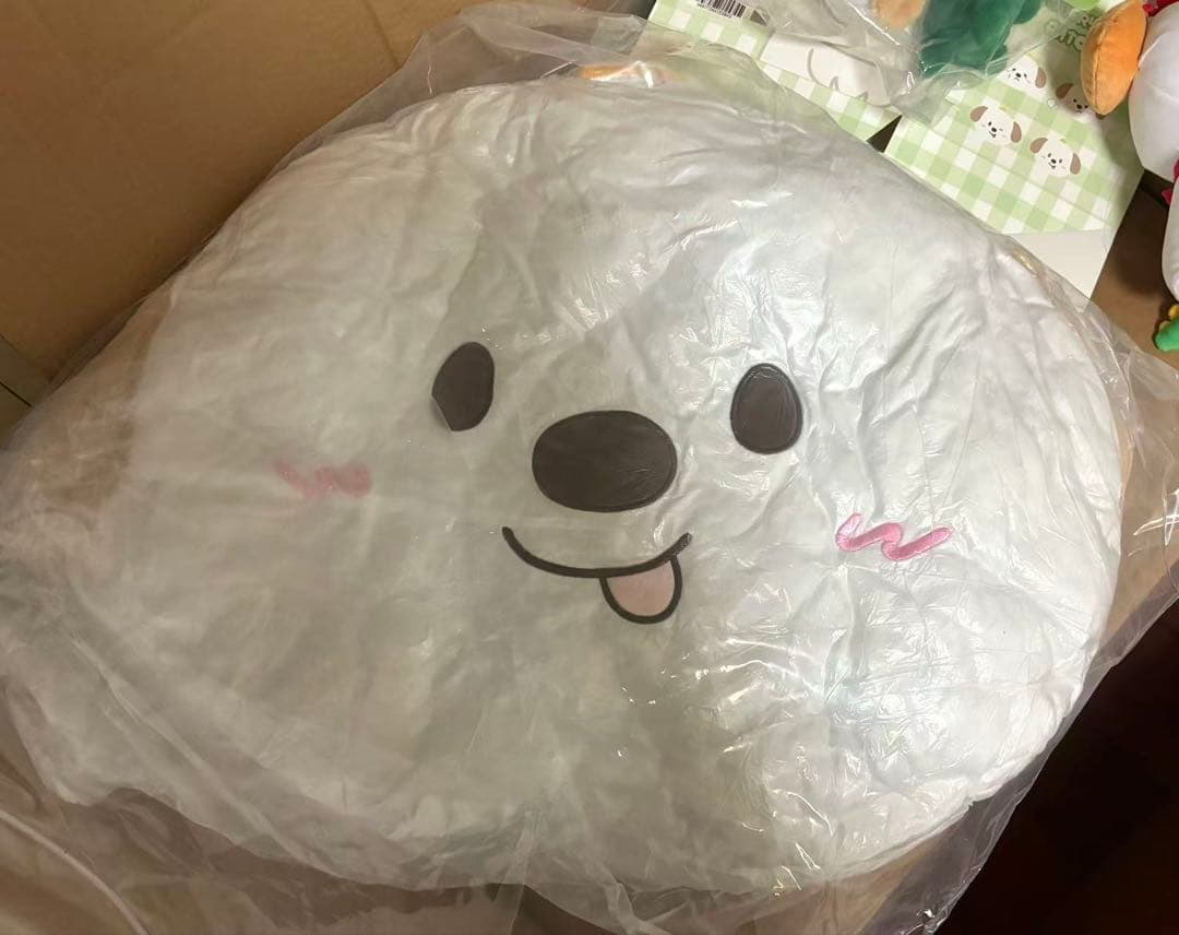 RIIZE アントン ANTON 中国限定