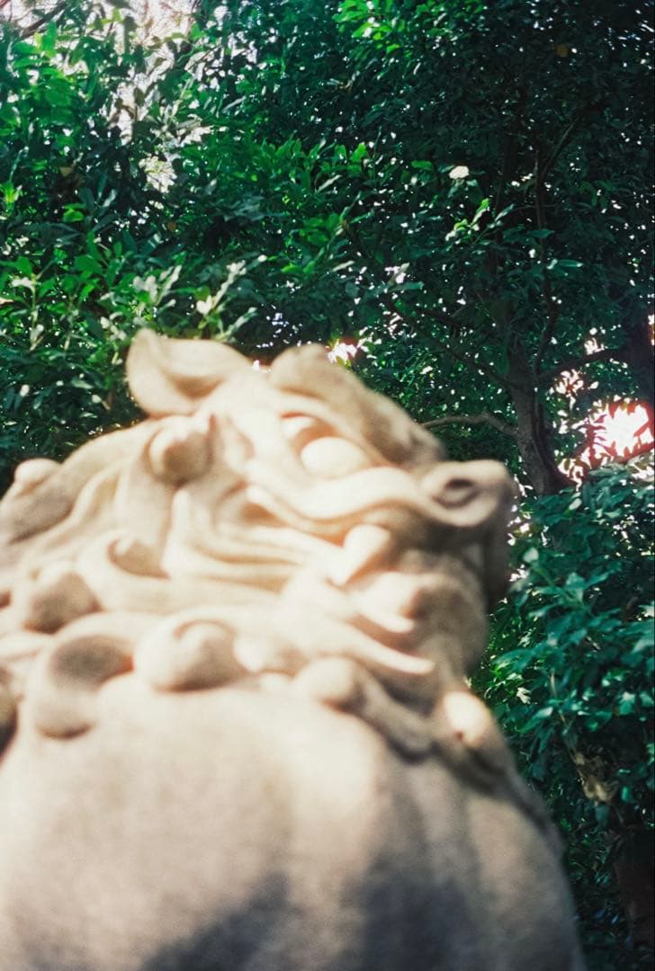 フィルムカメラ Leica minilux