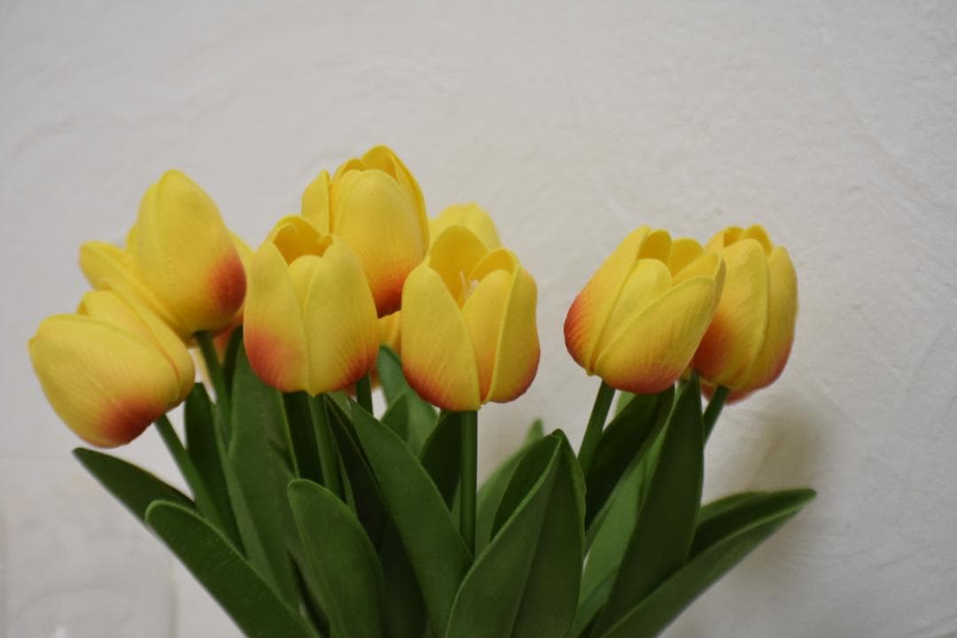 ✨綺麗に撮れる✨Nikon AF-P NIKKOR 70-300mm　979-2