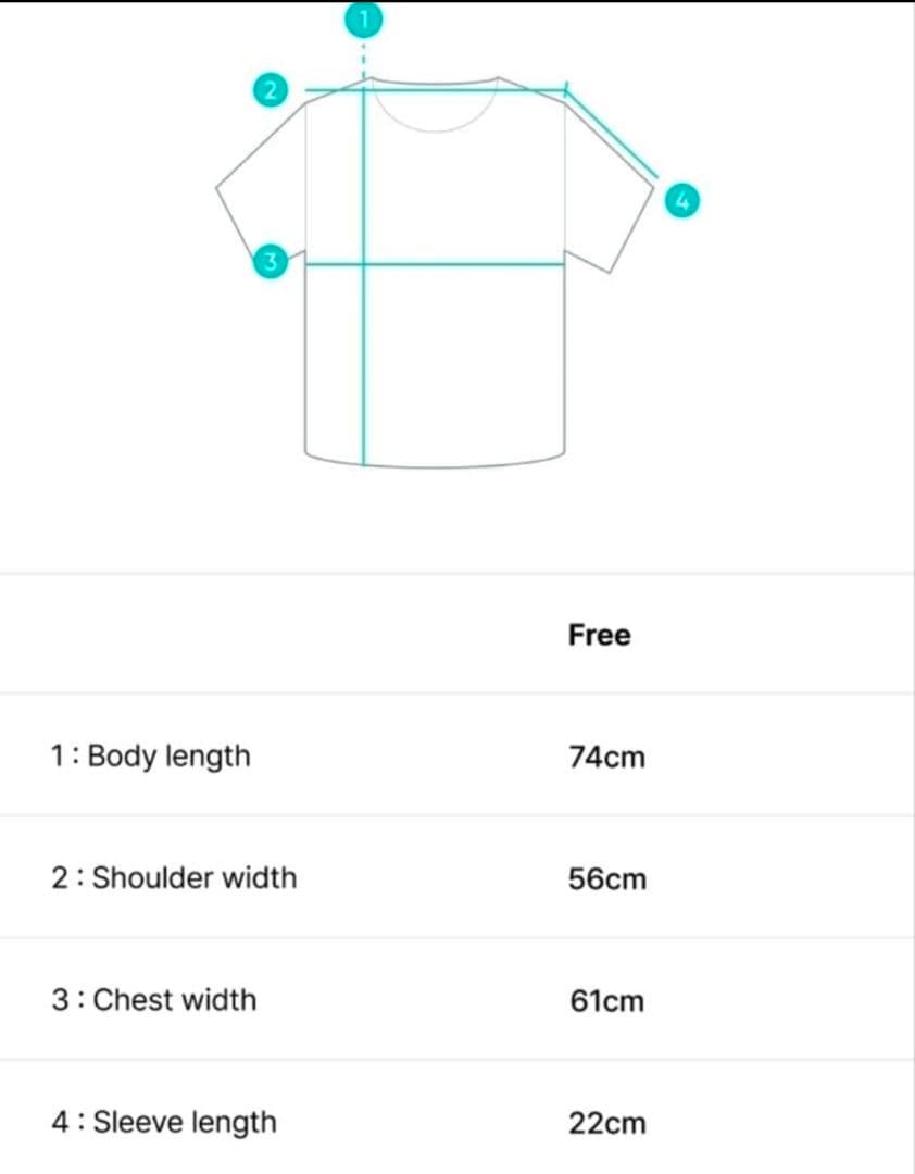 LE SSERAFIM SPAGHETTI チェウォン Tシャツ 半袖