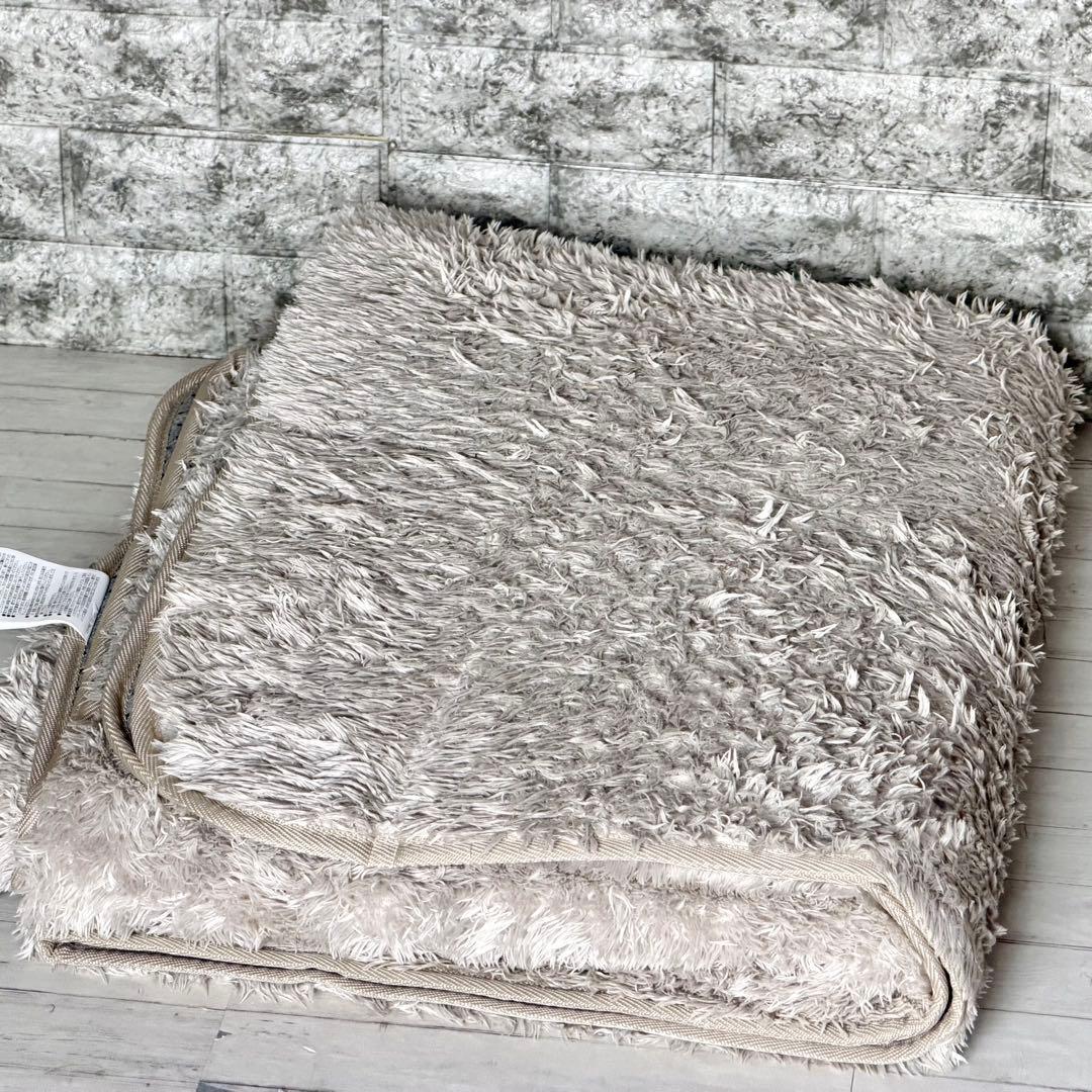 アイリスオーヤマ 2畳相当ホットカーペット 専用ラグ付き