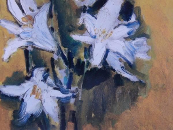 Kees ven Dongen、LES LYS、海外版超希少レゾネ、新品額付