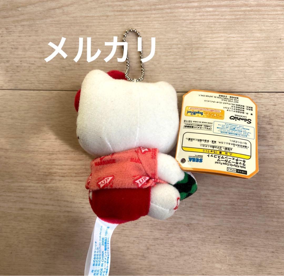 サンリオ ハローキティ Dr.コパ コラボ　ぬいぐるみ　風水すいか希少マスコット