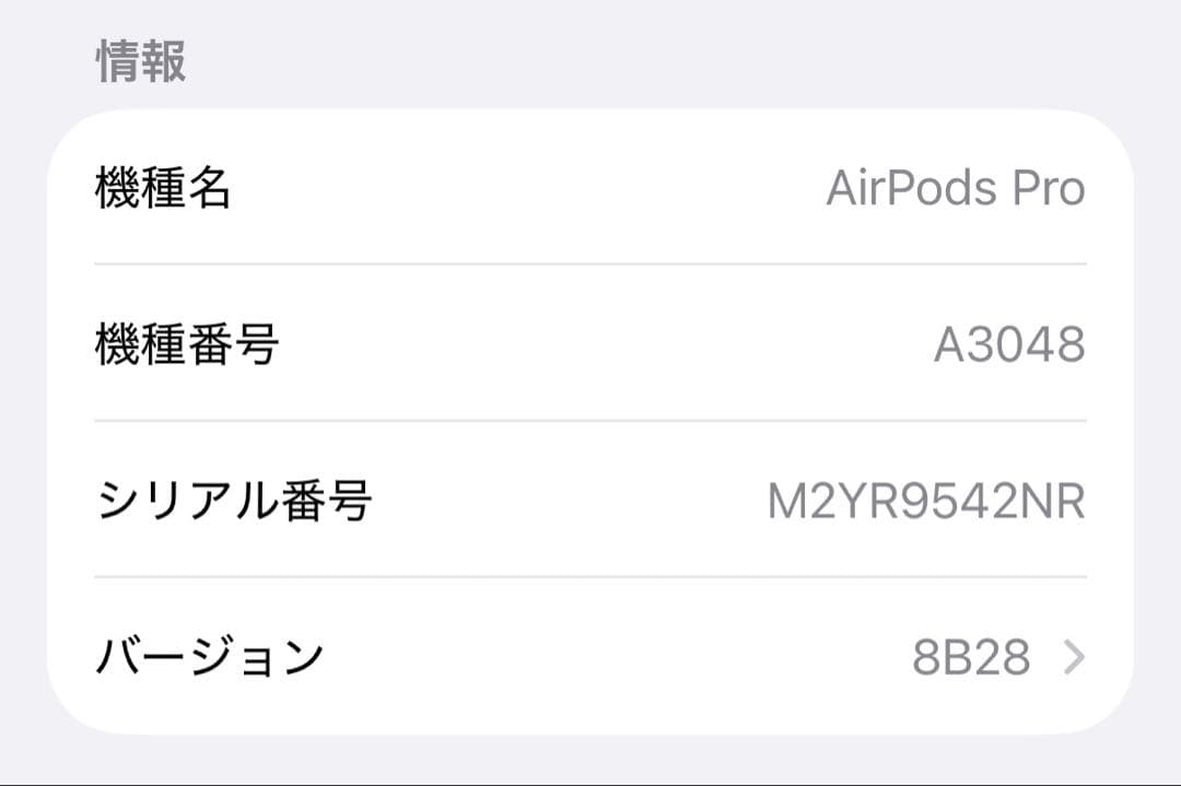 Apple AirPods Pro 第2世代 A3048 USB-C