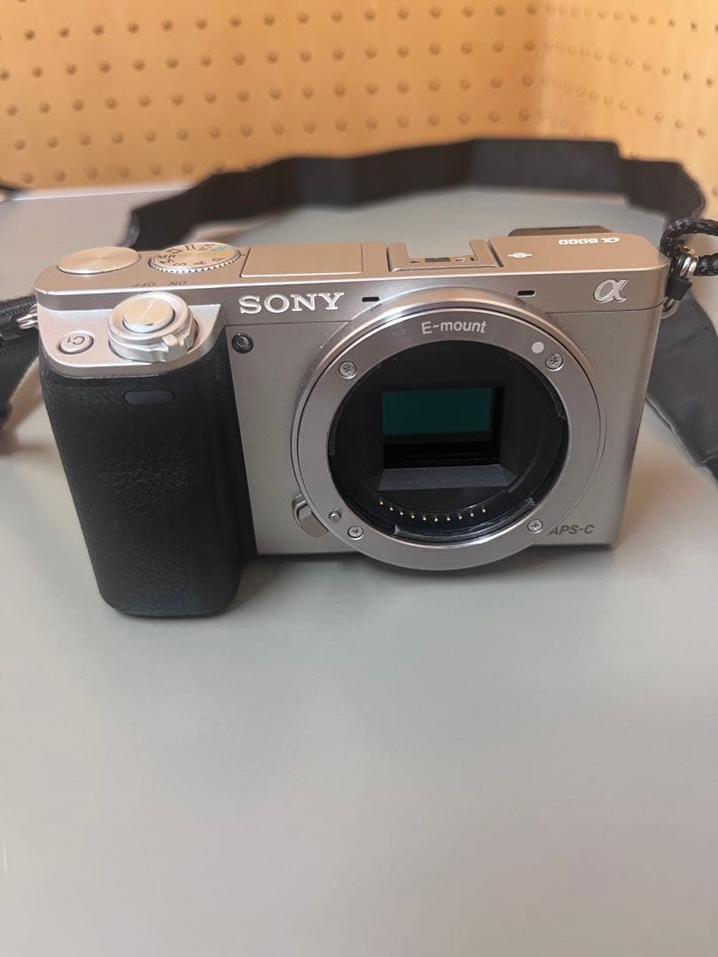 SONY α6000 ミラーレス一眼 本体と付属品