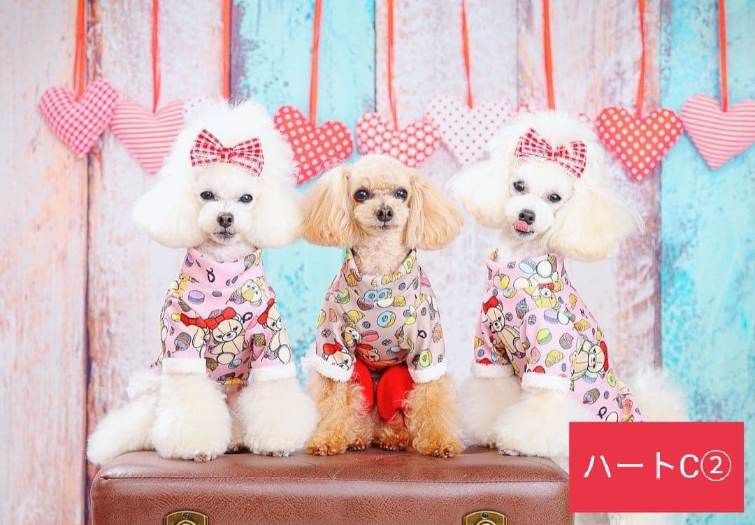 背景布　【　ハートH　】　サンプル　バレンタイン、ニューボーンなど♪